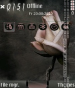 Rose heart 02